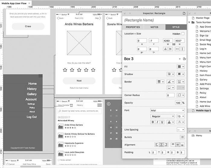 Wireframe Designs